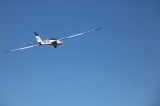 IMG 1539